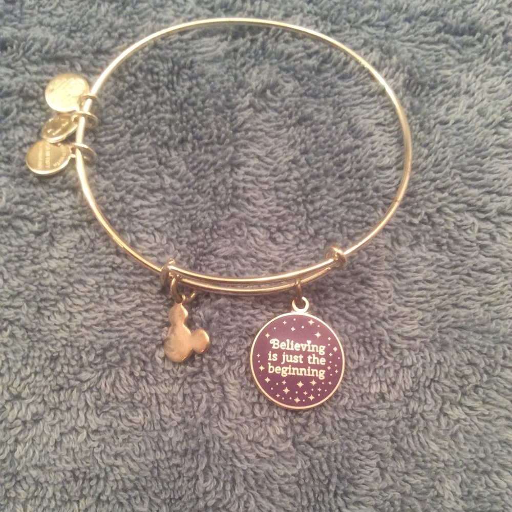 Disney Parks Alex and Ani  Charm Bangle Bracelet